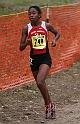 2010CIF XC GD4-0782